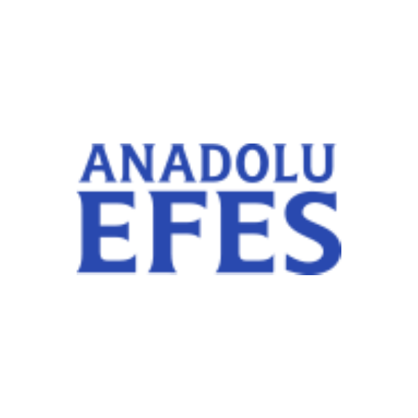 anadoluefes